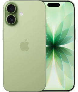 Apple iPhone 17 Sage